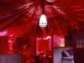 We created this canopy as part of large party planning event. The canopy transformed the bare stable block