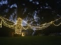 The Pine Fairy