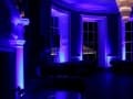 Babington-Bar-Violet