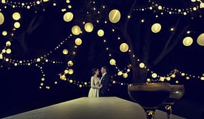 festoon-tree-lighting